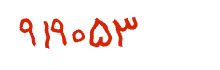security code