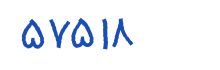 security code
