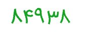 security code