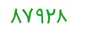 security code