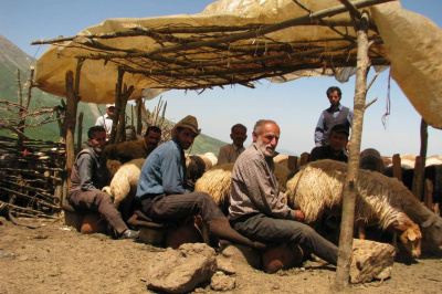 گالش‌ها چه کسانی هستند؟ نگاهی به زندگی و فرهنگ دامداران البرز